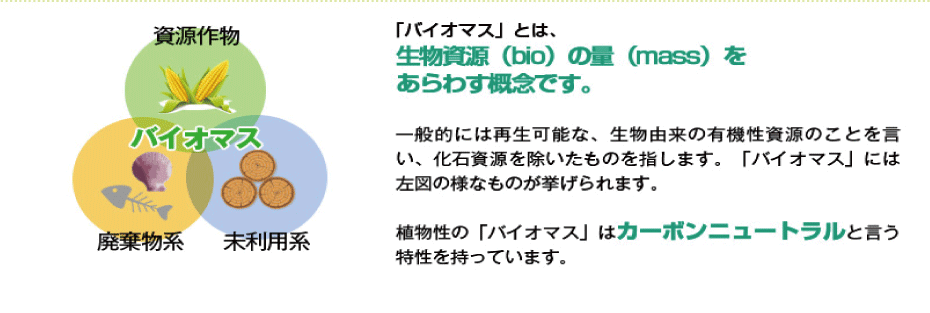 バイオマスとは
