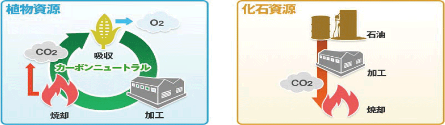 カーボンニュートラルとは